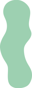 Shape5 Shape5